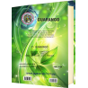2- MODULO AUTÉNTICO GUARANGO